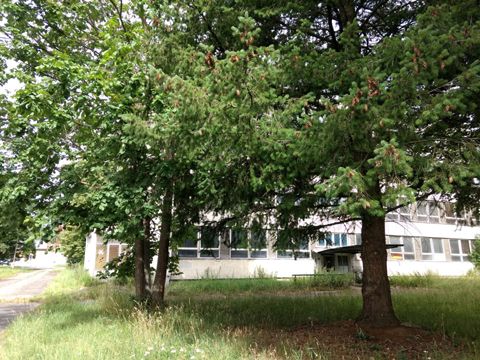 Foto 149